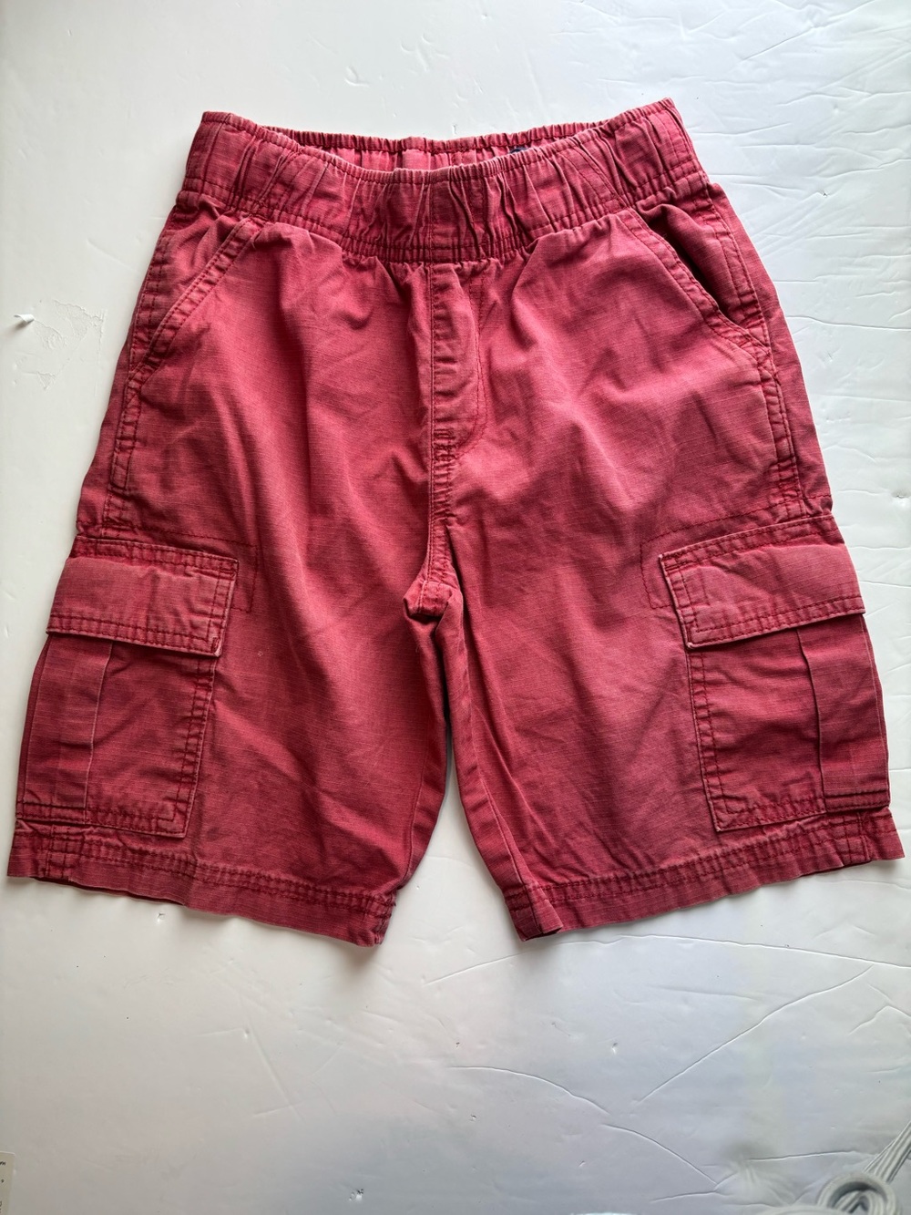 Place Cargo Shorts in Brick Red